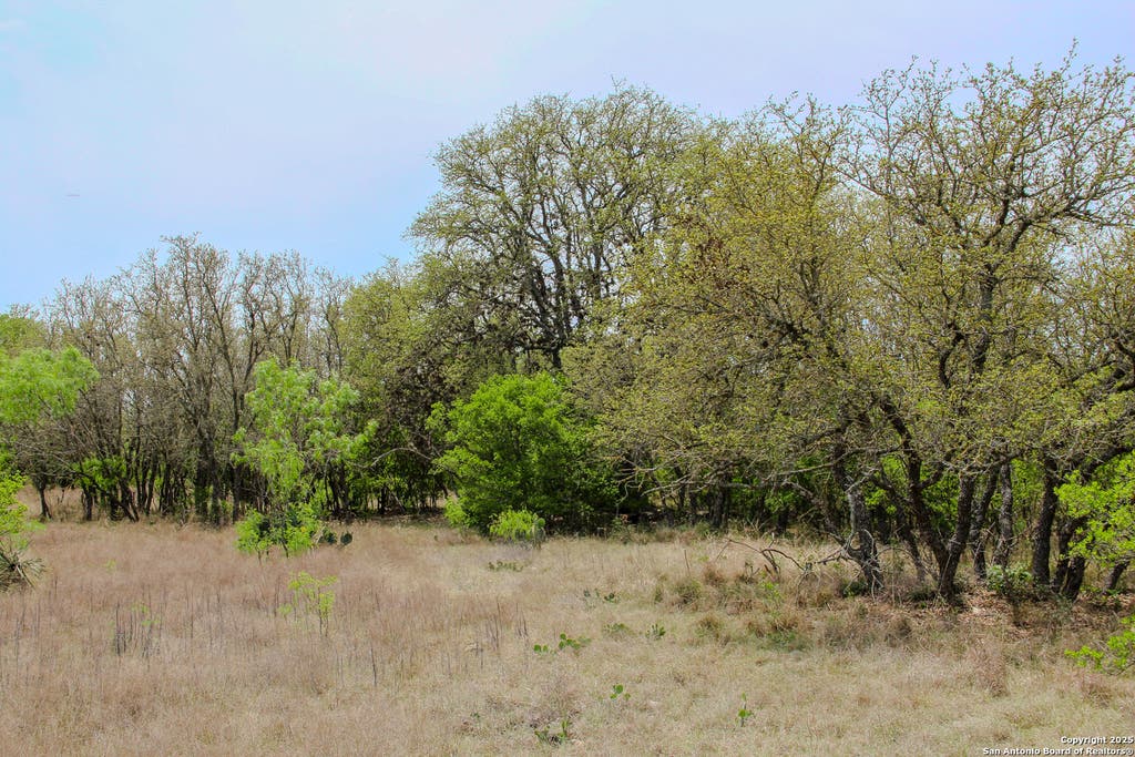 Photo of TBD CR 341, Hondo, TX 78861 (MLS # 1923823)