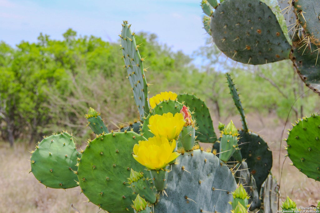 Photo of TBD CR 341, Hondo, TX 78861 (MLS # 1923823)