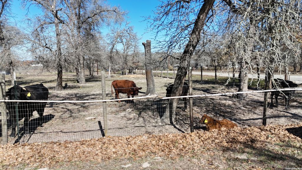 Photo of 470 Lyon, Seguin, TX 78155 (MLS # 1936533)