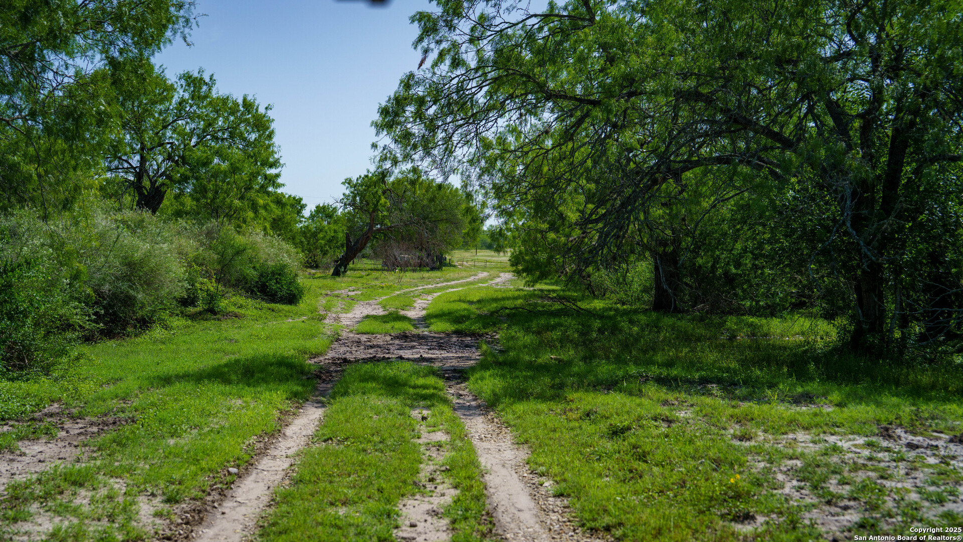 3407 County Road 215