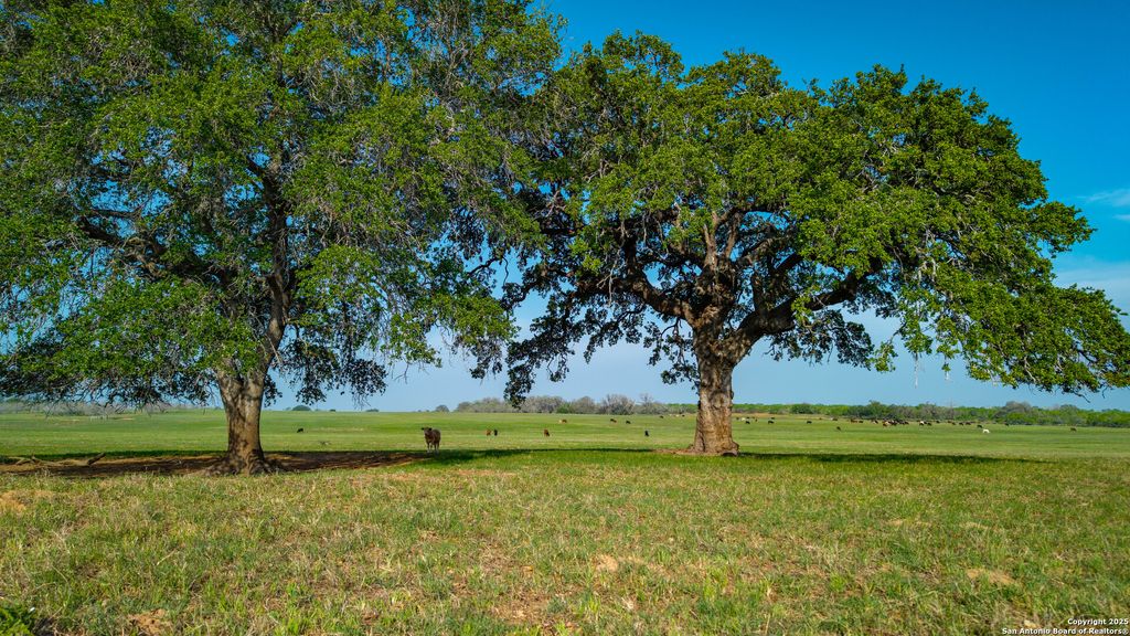 Photo of TBD County Road 404, Floresville, TX 78114 (MLS # 1858943)