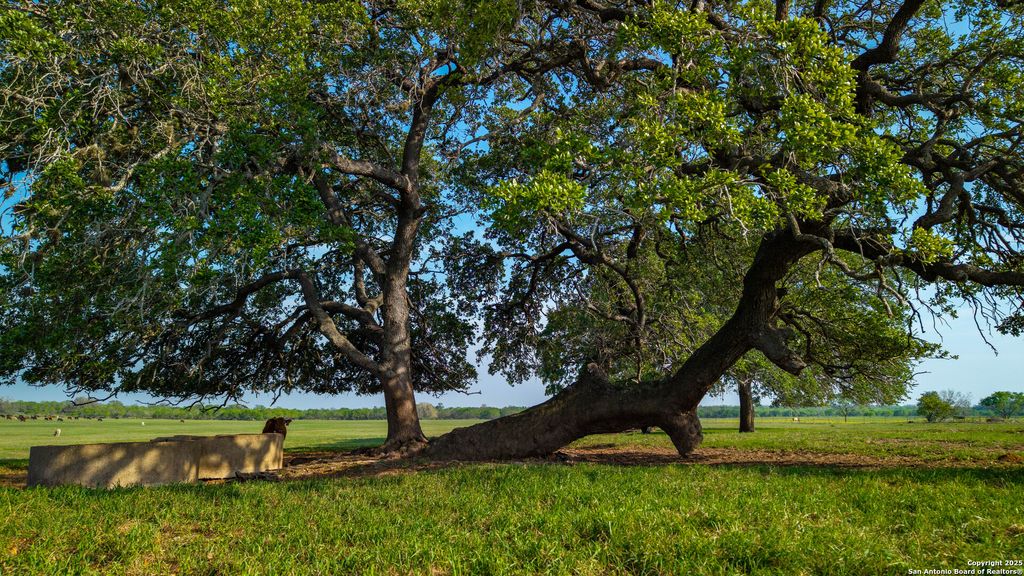 Photo of TBD County Road 404, Floresville, TX 78114 (MLS # 1858943)
