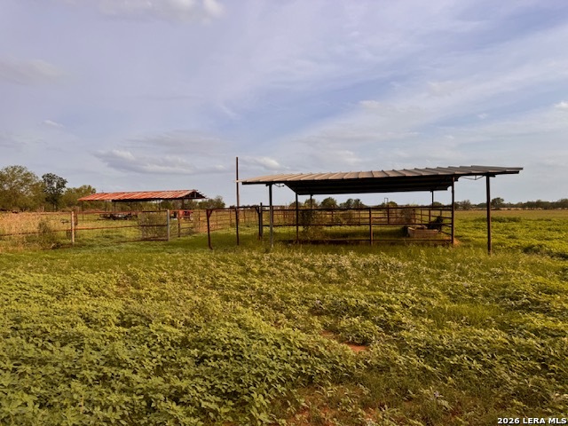 1115 County Road 669