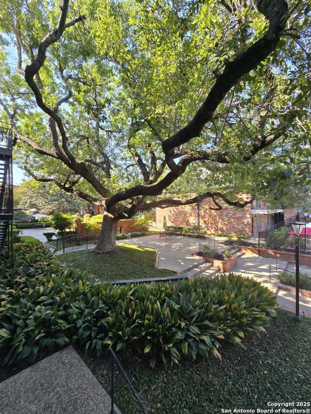 Photo of 8401 N New Braunfels 106A #106A, San Antonio, TX 78209 (MLS # 1915212)