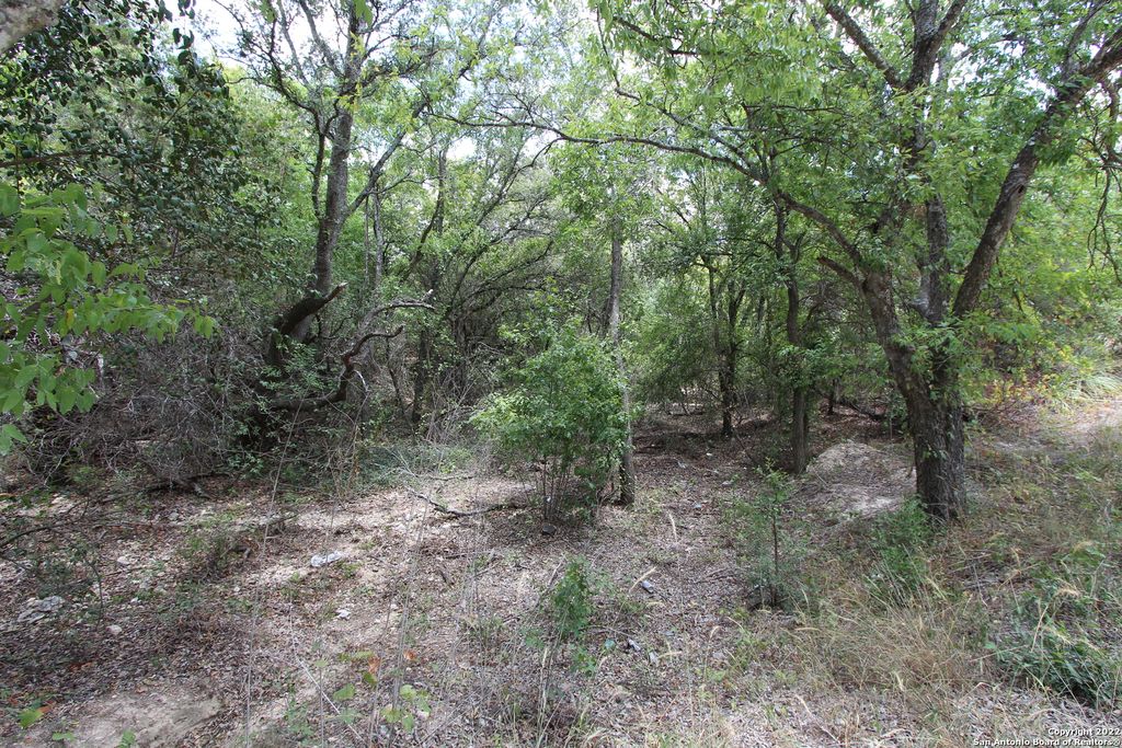 Photo of 19057 State Highway 16 N, Helotes, TX 78023 (MLS # 1629289)