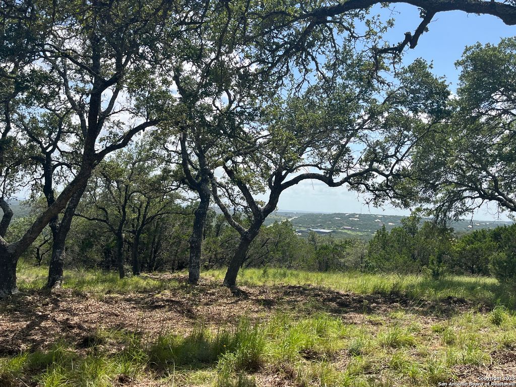 Photo of 189 Cordillera Ridge, Boerne, TX 78006 (MLS # 1929897)
