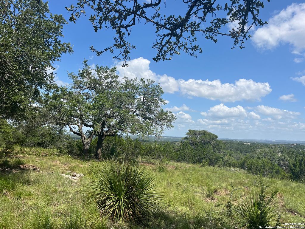 Photo of 189 Cordillera Ridge, Boerne, TX 78006 (MLS # 1929897)
