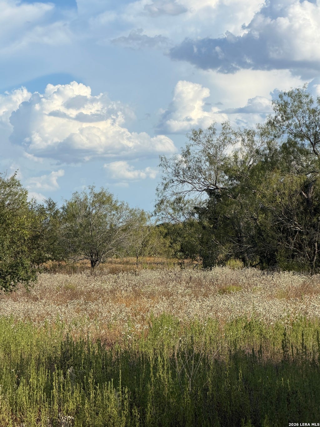 Photo of TRACT #4 Elm Creek Rd, Seguin, TX 78155 (MLS # 2015146)