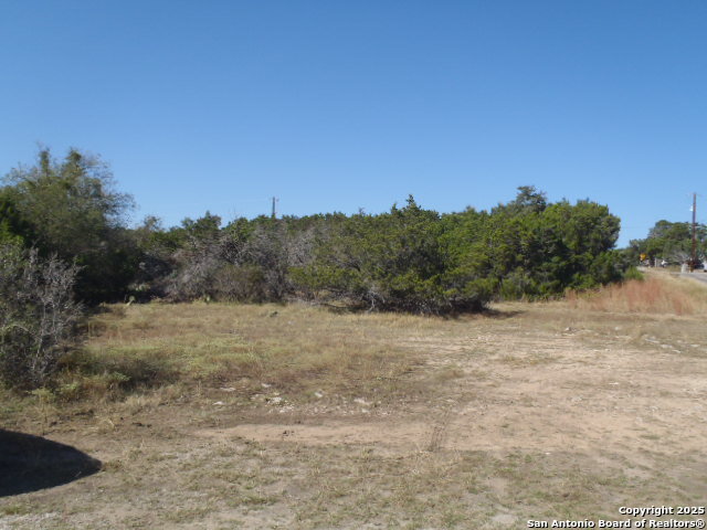 1345 Live Oak Dr