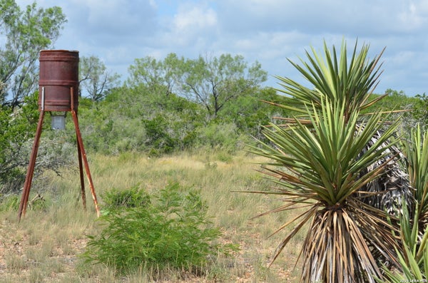 MOORE HOLLOW RD, MOORE, TX 78057 - Image 61b2de64d9a9e7528b53cca1bcb261db/2901598693