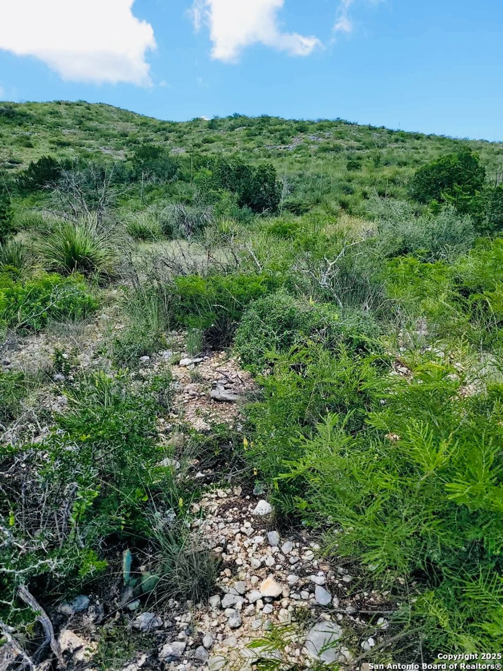 Photo of 0 Cr 408, Uvalde, TX 78801 (MLS # 1907566)