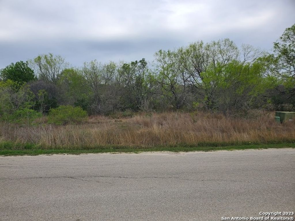 Photo of 13219 ROUNDUP PASS, San Antonio, TX 78245 (MLS # 1673604)