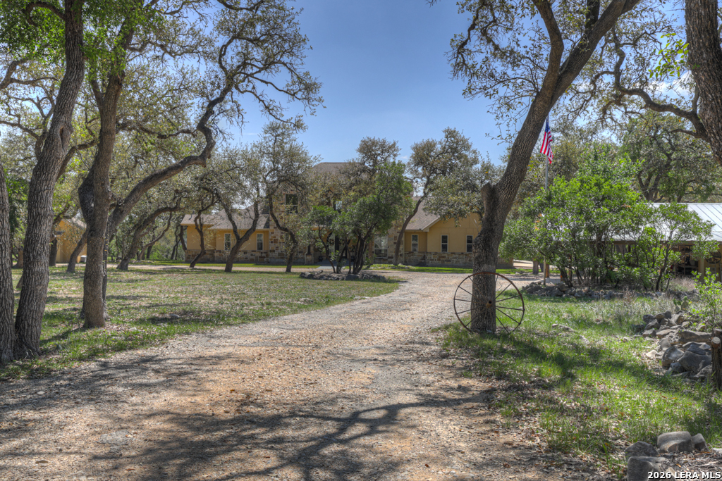 Timeless Hill Country Elegance on 10 secluded Acres with 5 acre privat – image 16