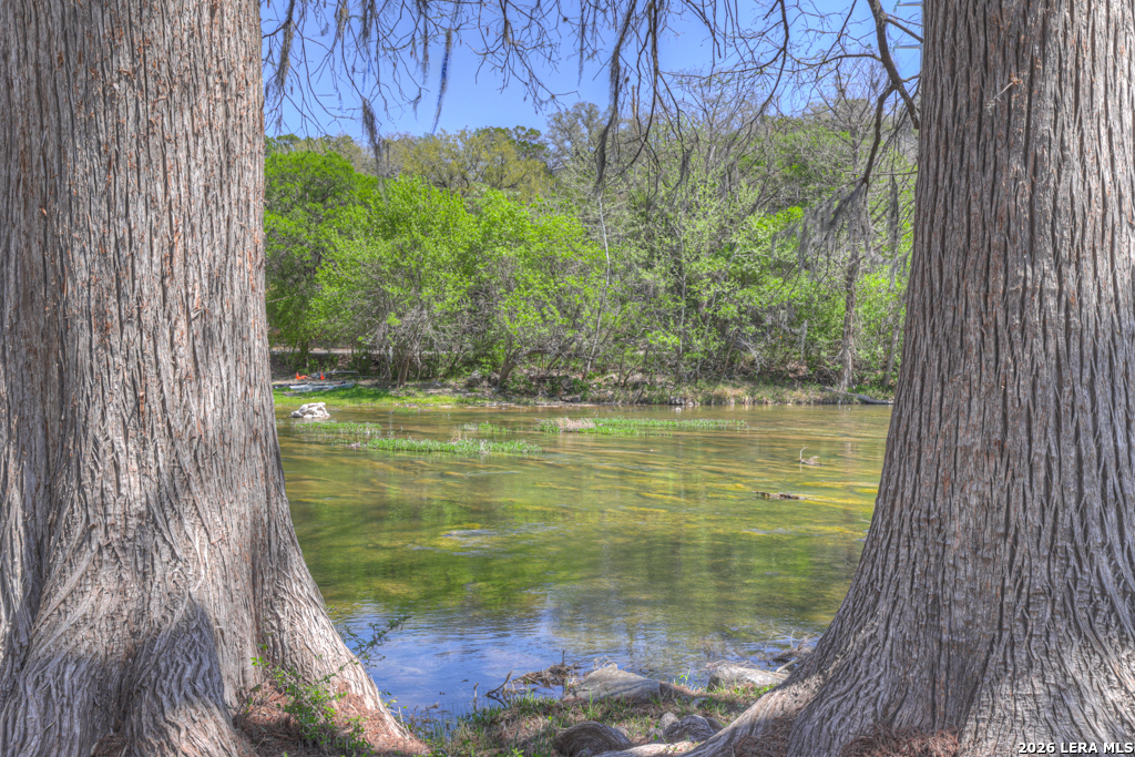 Timeless Hill Country Elegance on 10 secluded Acres with 5 acre privat – image 104