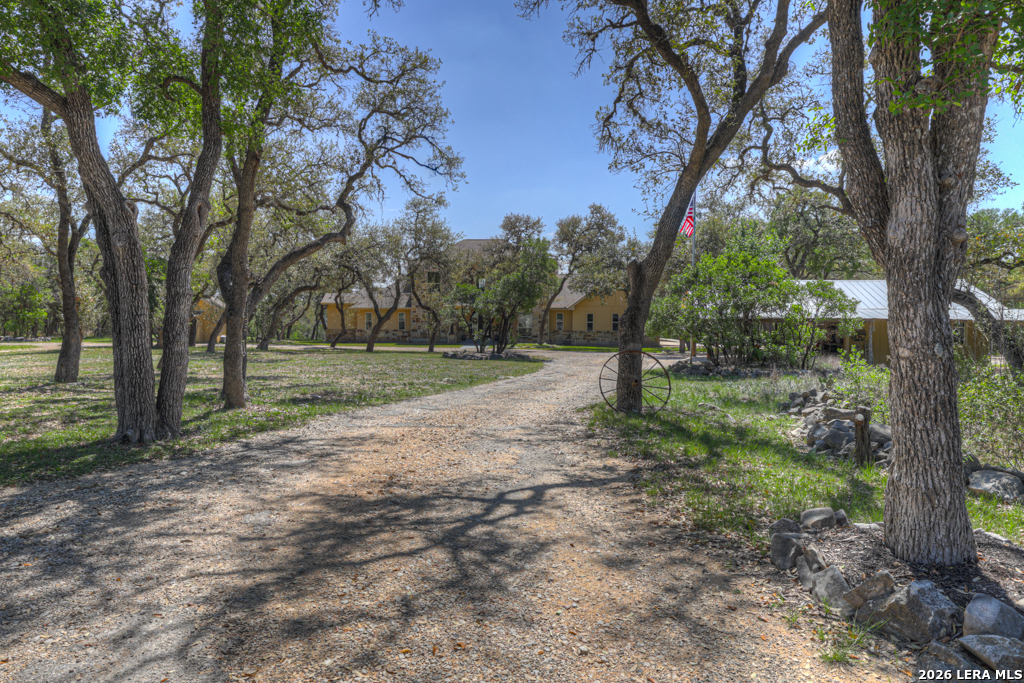 Timeless Hill Country Elegance on 10 secluded Acres with 5 acre privat – image 9