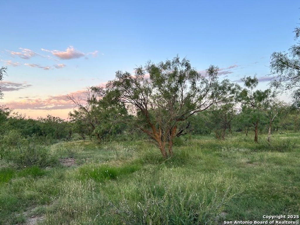 Photo of 587 Valley Rd, Eldorado, TX 76936 (MLS # 1890948)