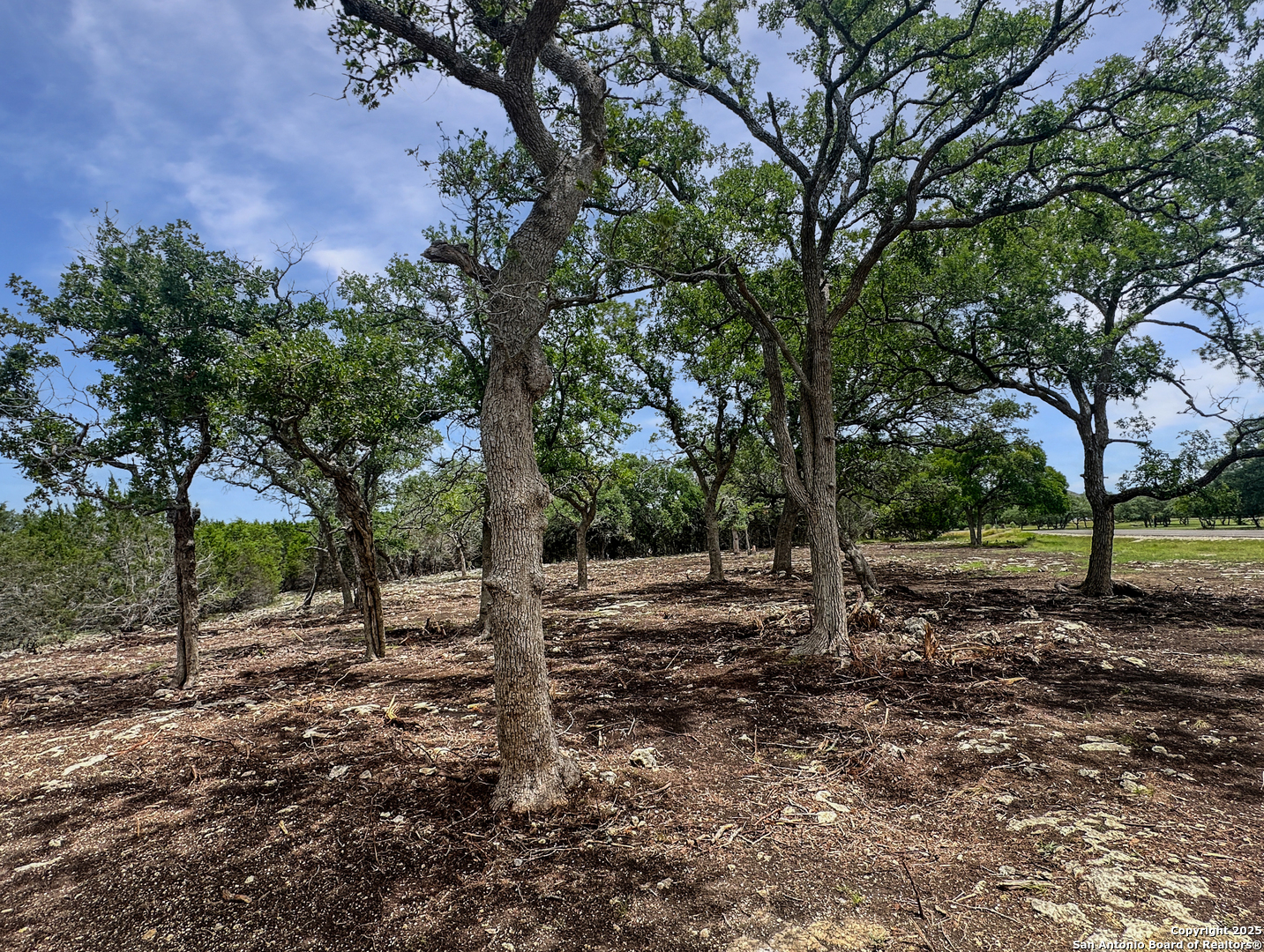 LOT 30 TBD Fm 3351