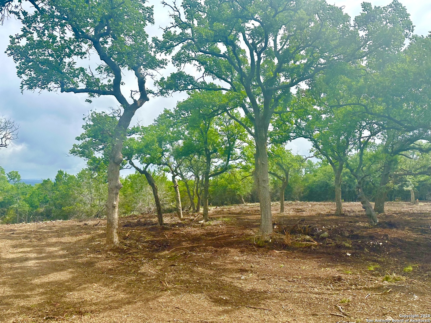 LOT 30 TBD Fm 3351