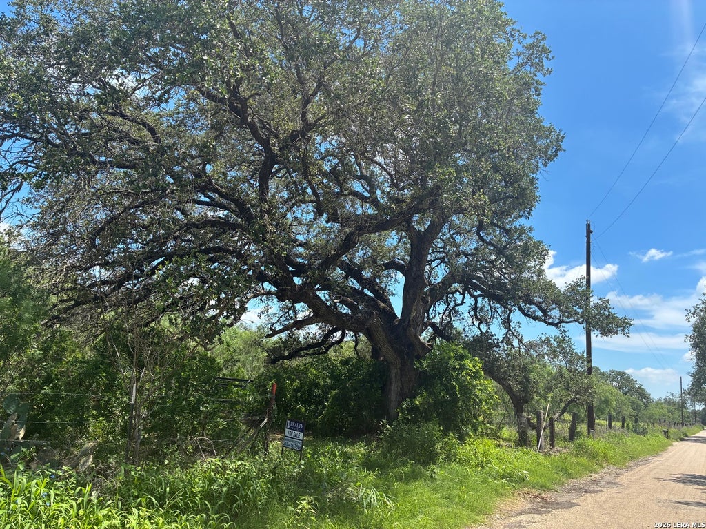 Photo of 920 County Road 665, Devine, TX 78016 (MLS # 1965679)