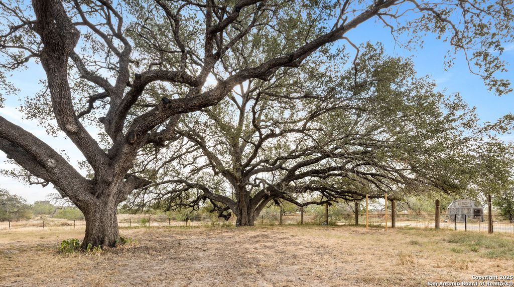 Photo of 198 Pr 7730, Devine, TX 78016 (MLS # 1918634)