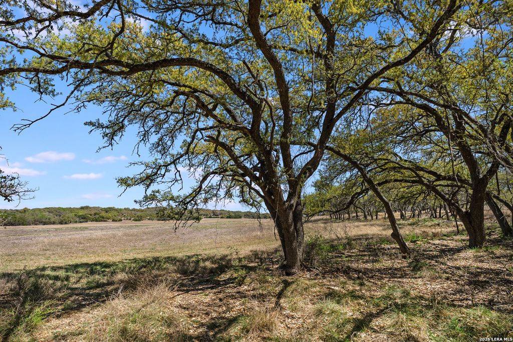 Photo of 16 Lewis Rd, Boerne, TX 78006 (MLS # 1952918)