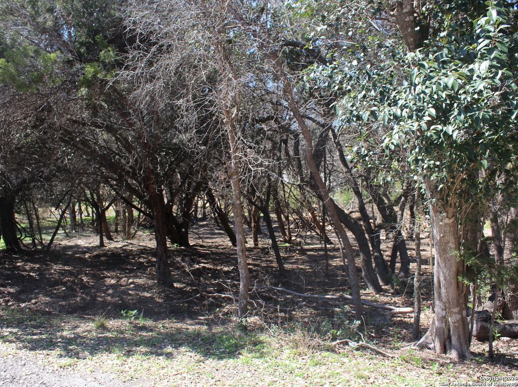 Photo of 535 Ridgerock, Canyon Lake, TX 78133 (MLS # 1896840)