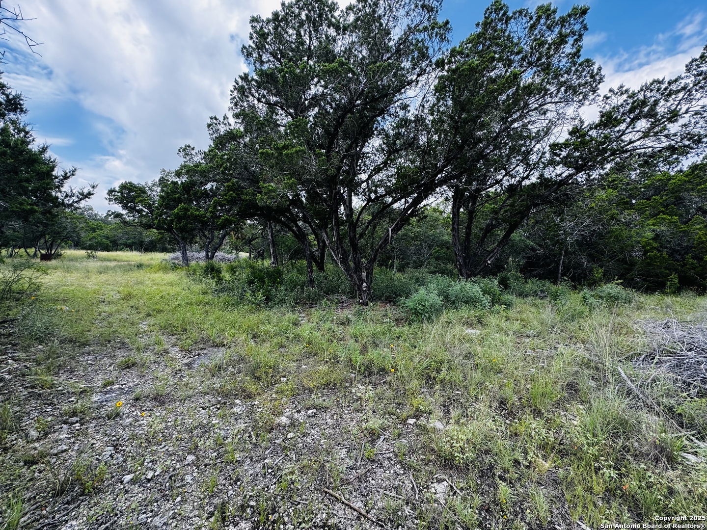 317 Cr RD 273
