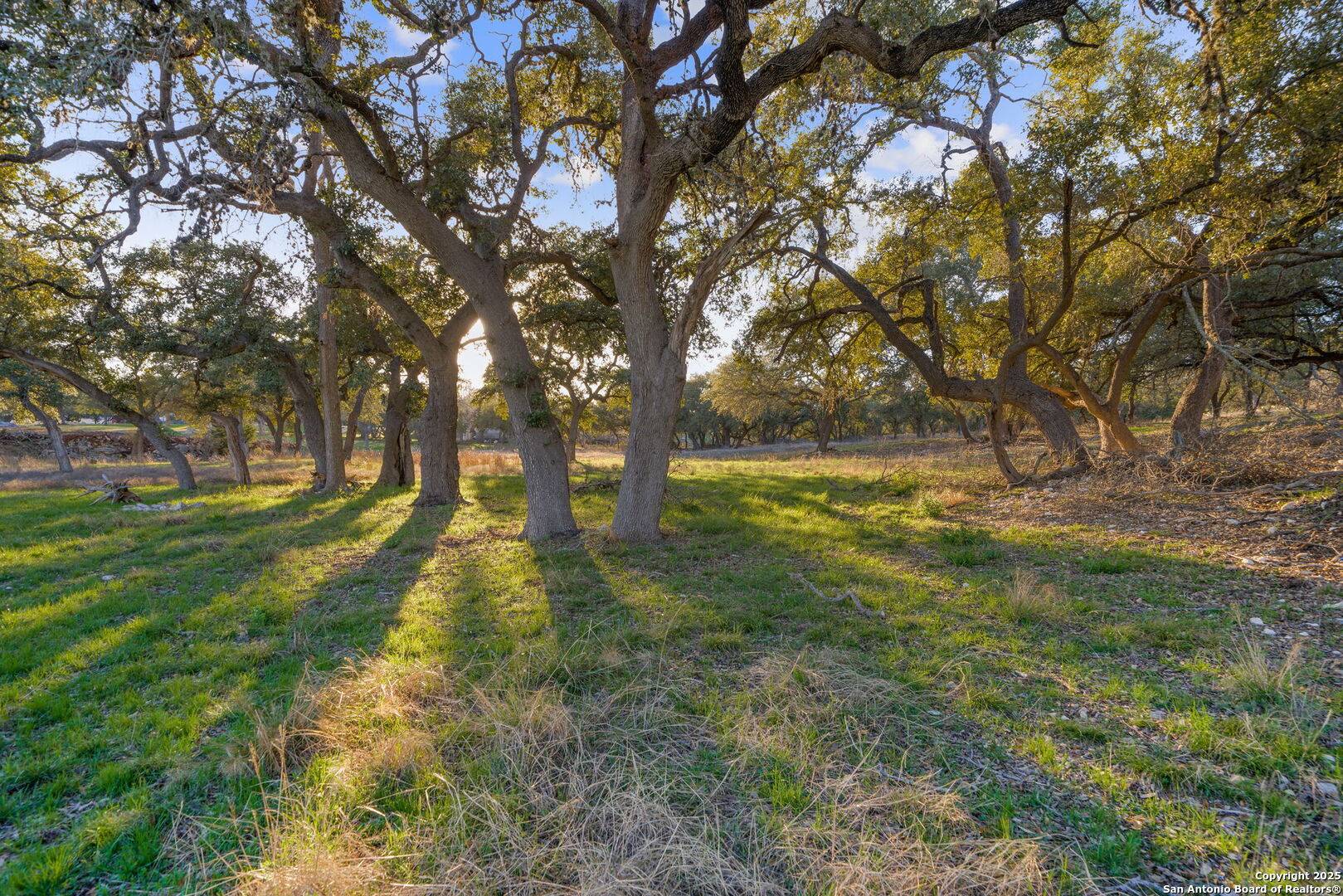 539 Clay Ridge