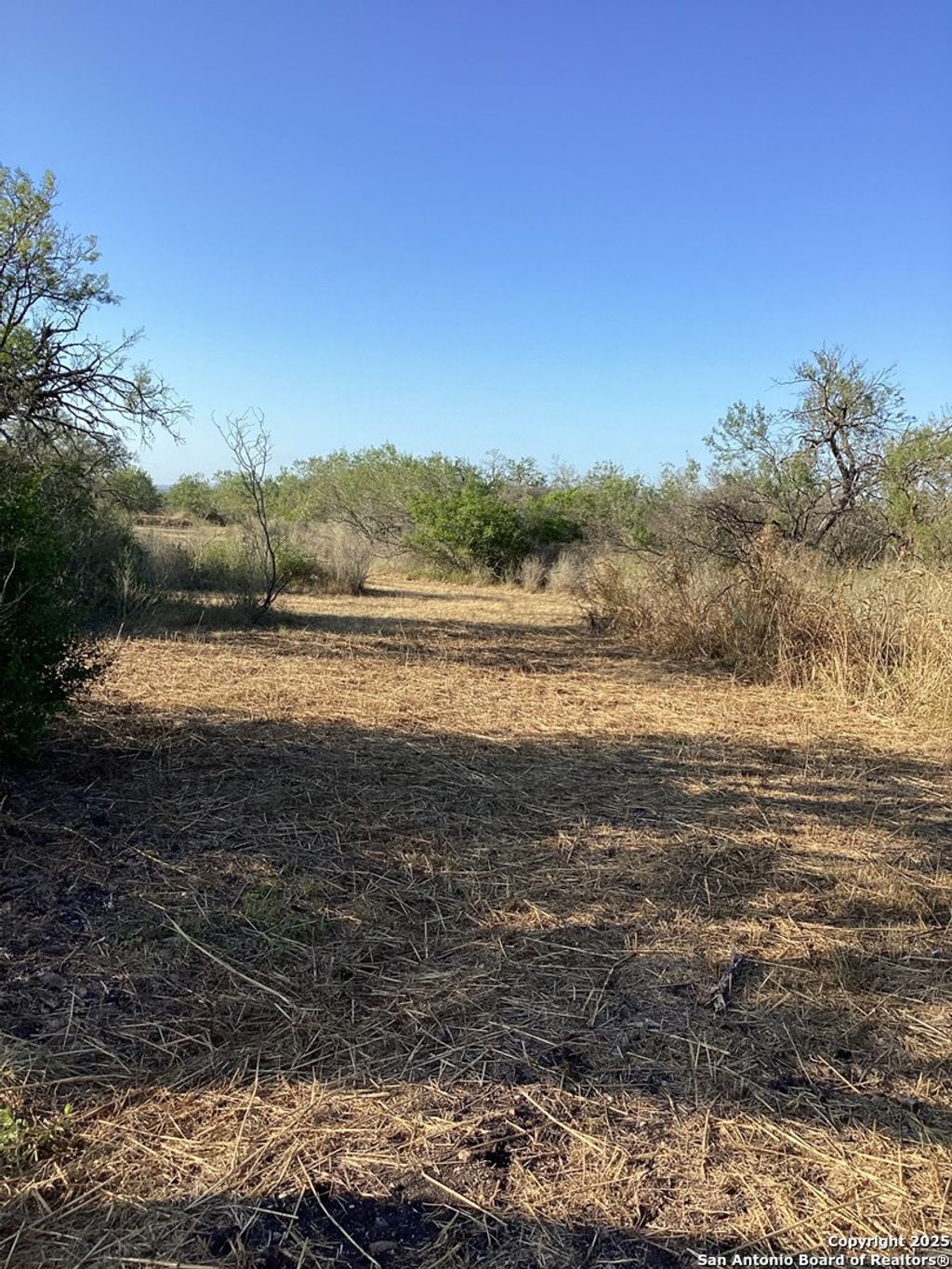 Photo of 435 Rock Bridge Trl, Seguin, TX 78155 (MLS # 1927480)
