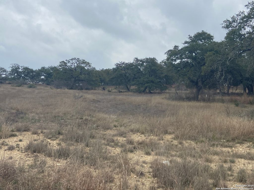 Photo of 785 Ansley Home, Bulverde, TX 78163 (MLS # 1846531)