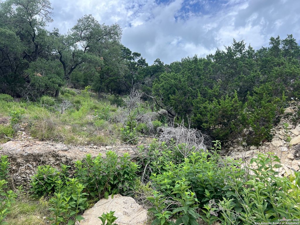 Photo of 1609 Trail Pass, Canyon Lake, TX 78133 (MLS # 1876238)
