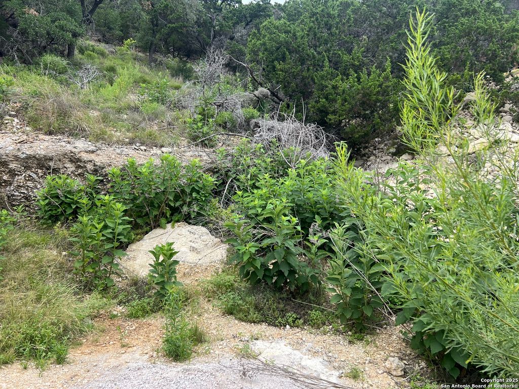 Photo of 1609 Trail Pass, Canyon Lake, TX 78133 (MLS # 1876238)