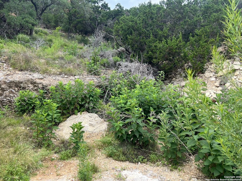 Photo of 1609 Trail Pass, Canyon Lake, TX 78133 (MLS # 1876238)