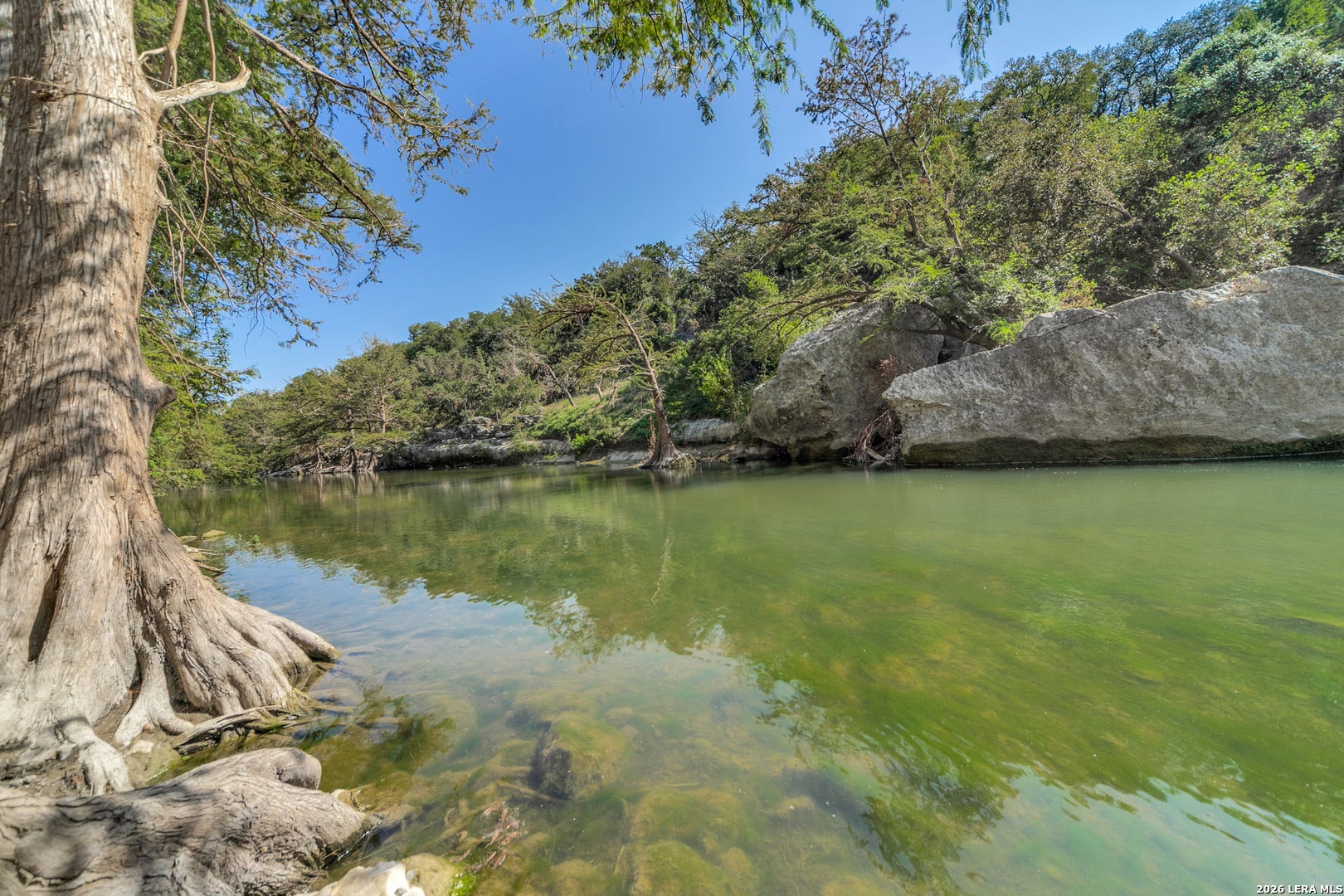 231 RIVER FOREST DR