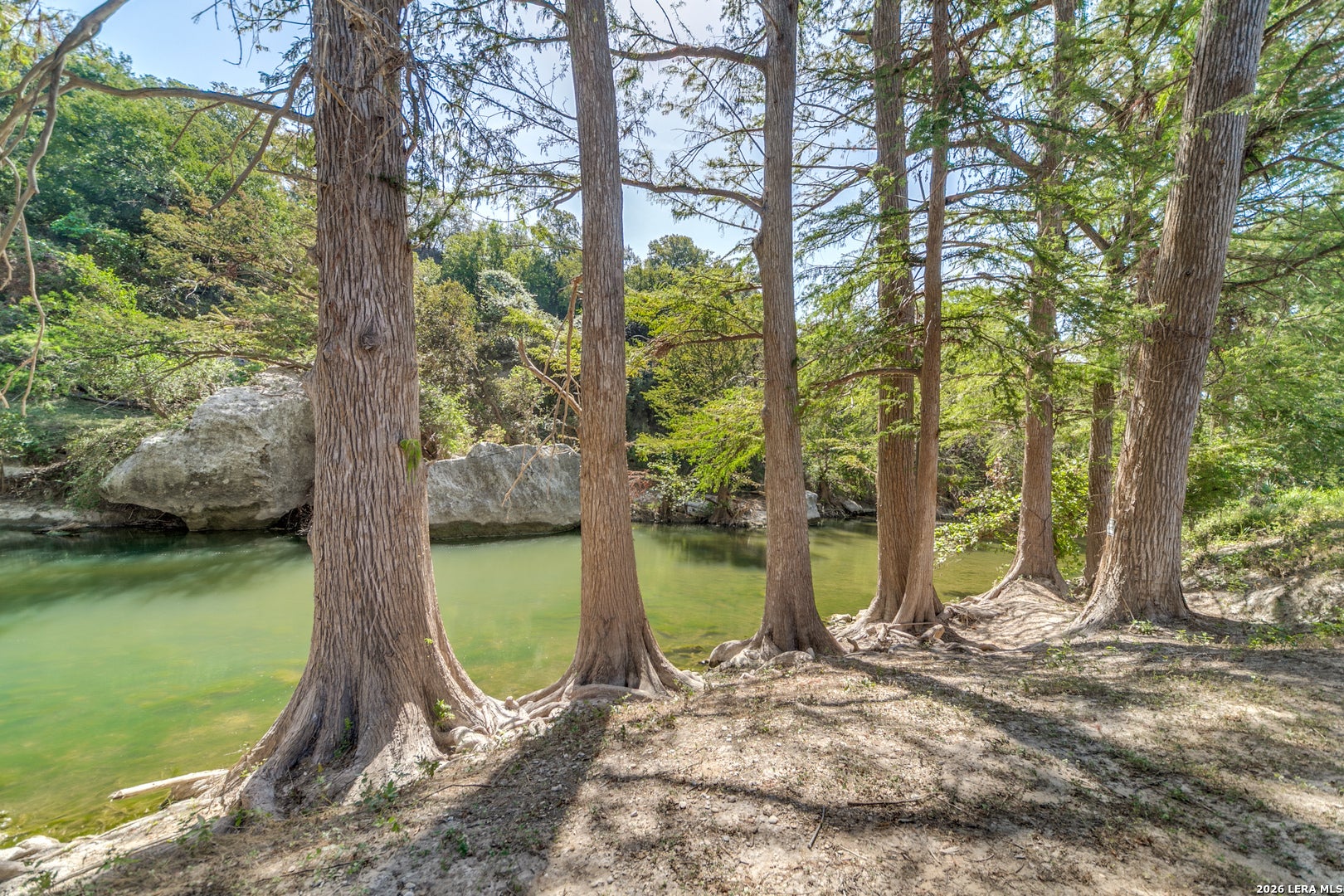 231 RIVER FOREST DR