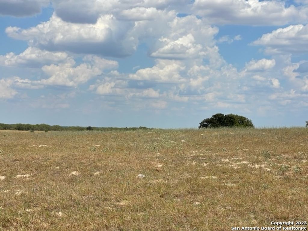 Photo of 903 County Road 232, Floresville, TX 78114 (MLS # 1910457)