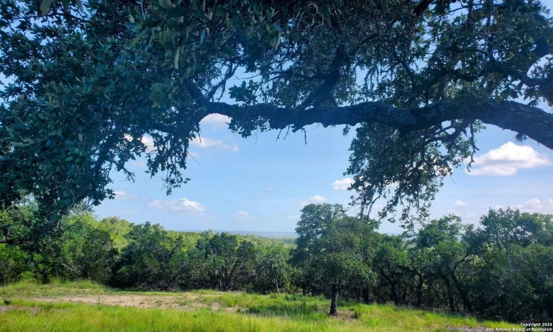 12033 Summer Meadows