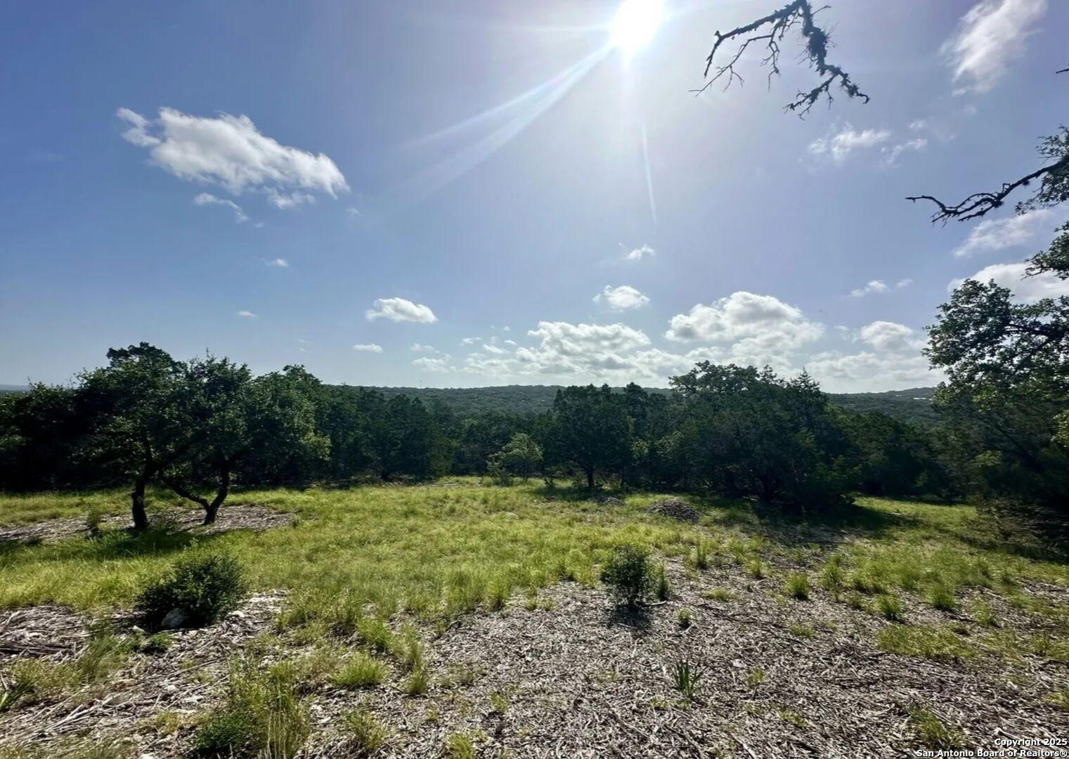 12033 Summer Meadows