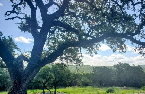 12033 Summer Meadows Spring Branch TX 78070