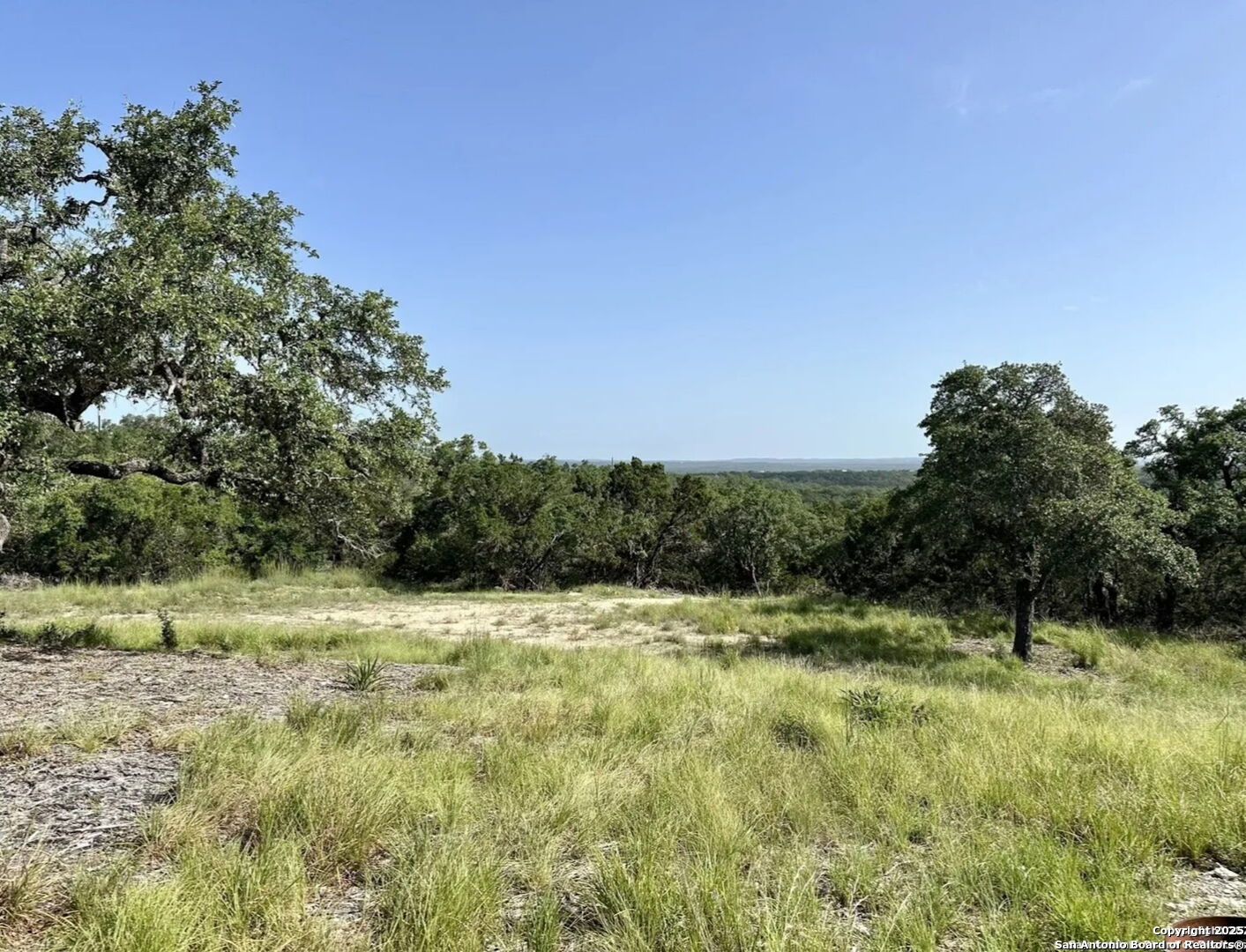 12033 Summer Meadows