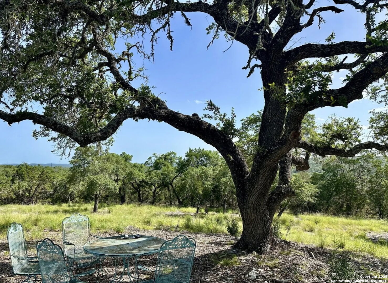 12033 Summer Meadows