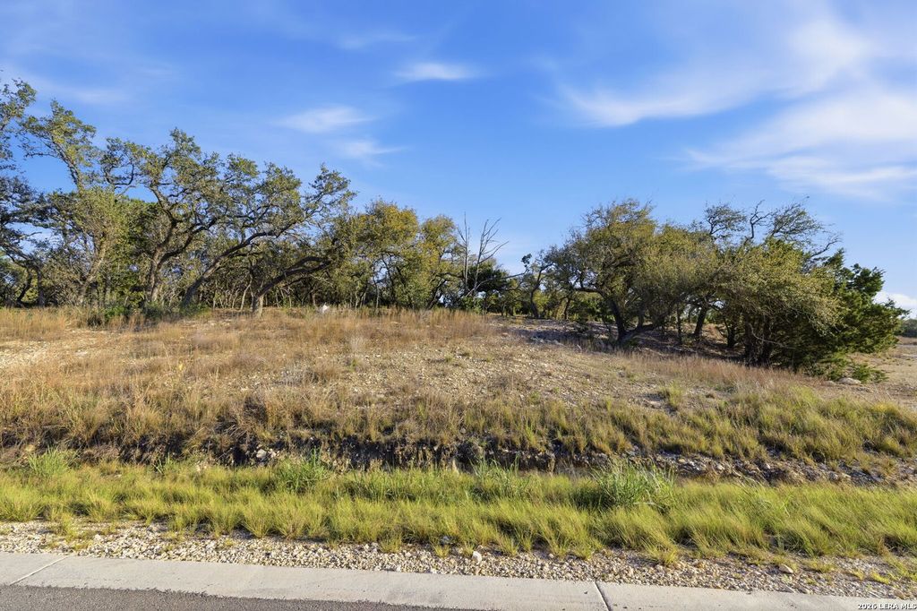Photo of 629 Rosemary Ridge, Bulverde, TX 78163 (MLS # 1949893)