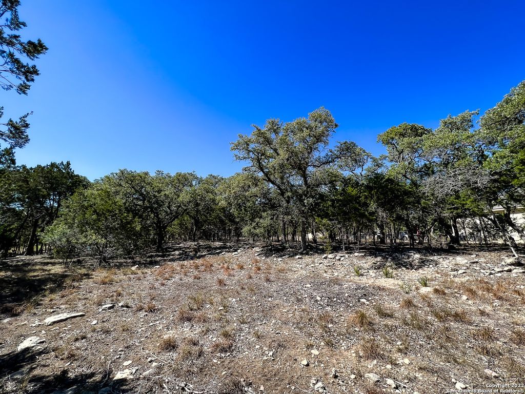 Photo of 209 Legacy Ridge, Canyon Lake, TX 78133 (MLS # 1874931)