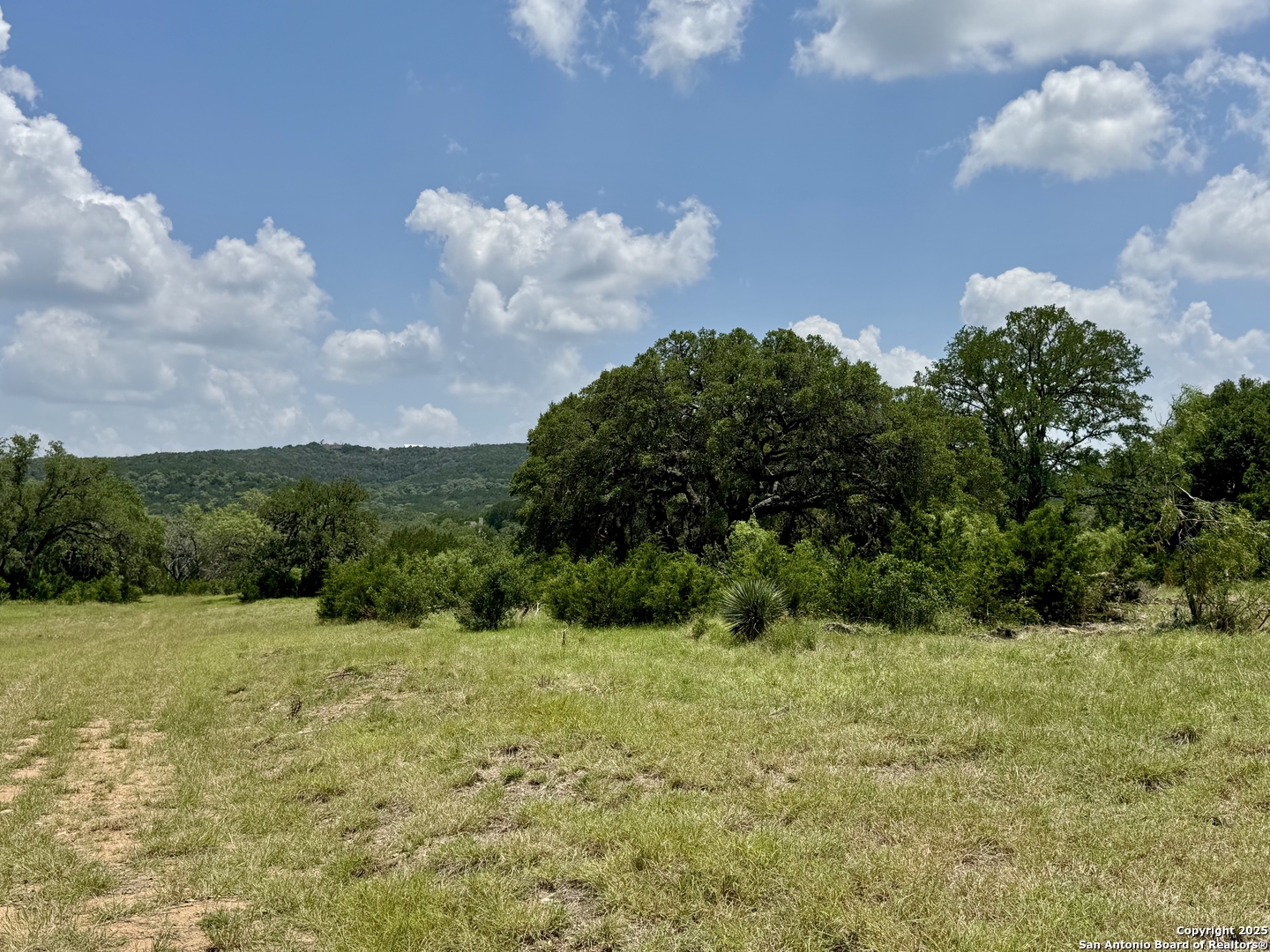 LOT 186 Pr 1712