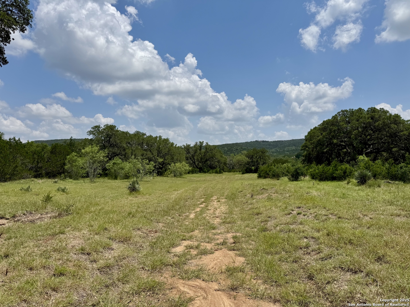 LOT 186 Pr 1712