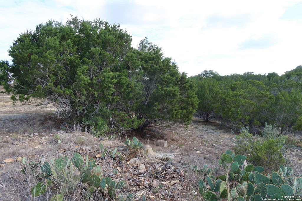 Photo of TBD Little Sorrel Way, Bandera, TX 78003 (MLS # 1634504)