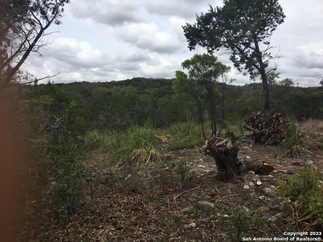 LOT 195 County Road 2801 E