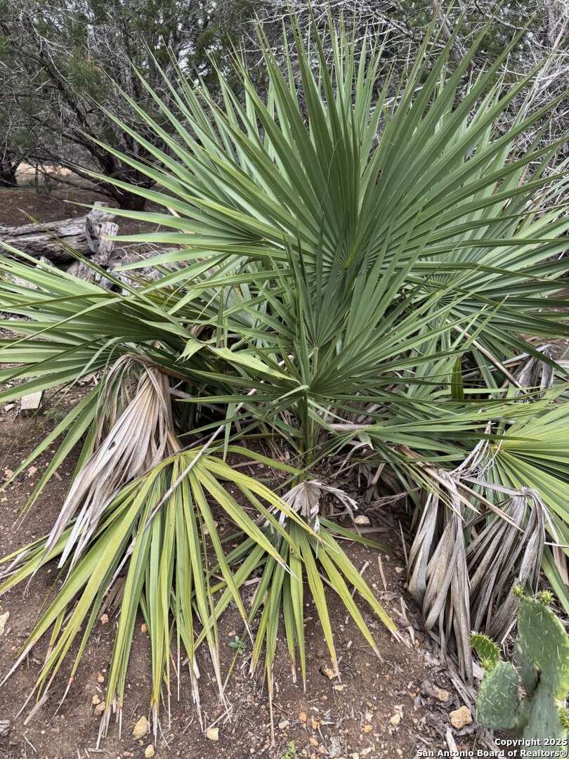 0 Roaring Creek Lot 48