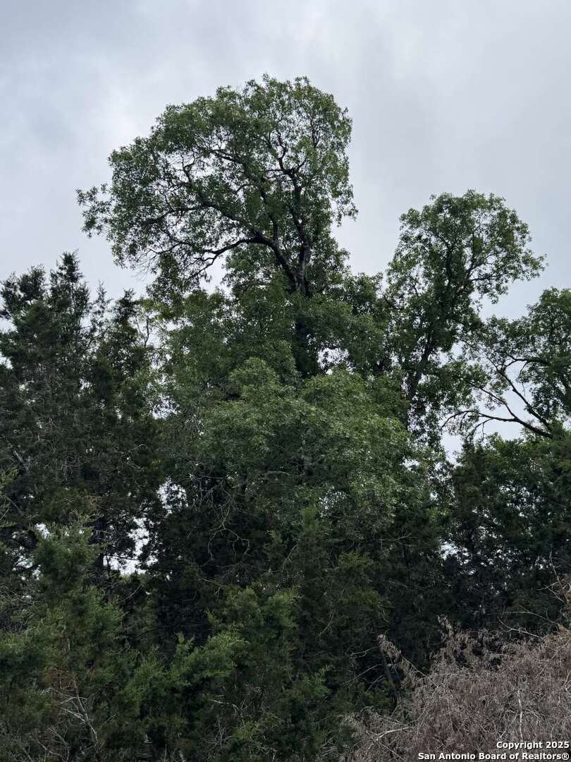 0 Roaring Creek Lot 48