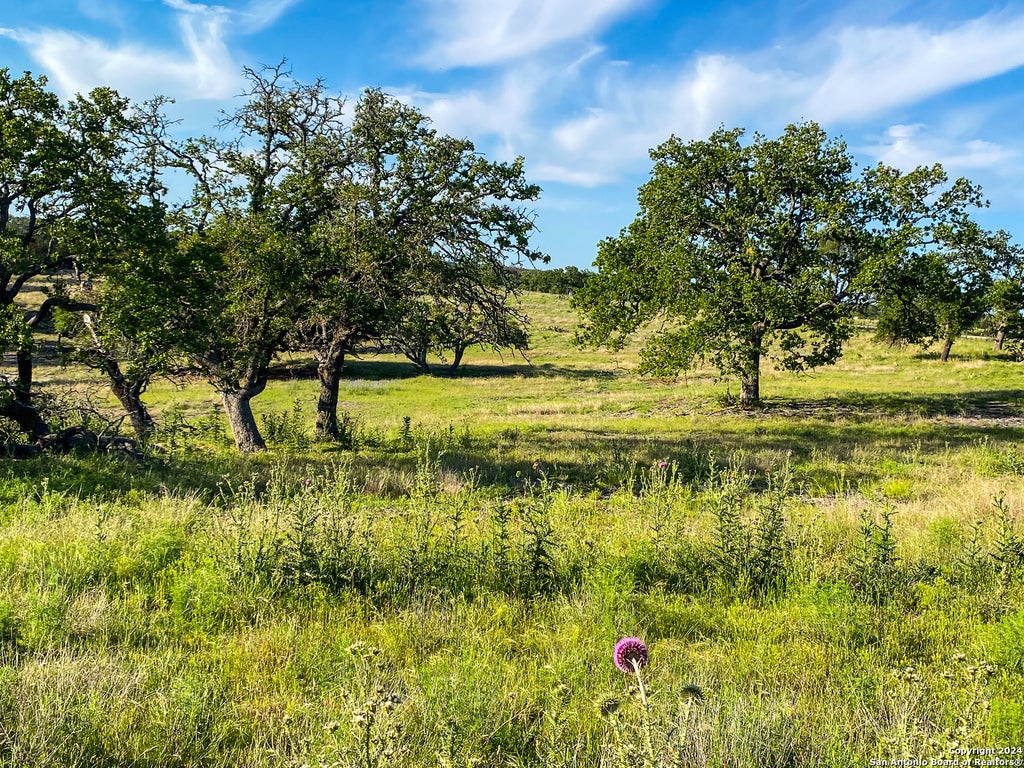 Photo of 139 cattlemans crossing, Kerrville, TX 78028 (MLS # 1948286)